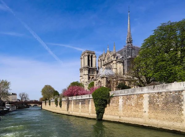 Catedral de Notre Dame sobre el río Sena en primavera. Antes del fuego —  Fotos de Stock