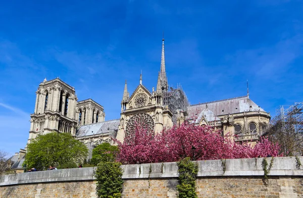 Katedra Notre Dame wiosną. Przed pożarem. Kwiecień 05, 2019. — Zdjęcie stockowe