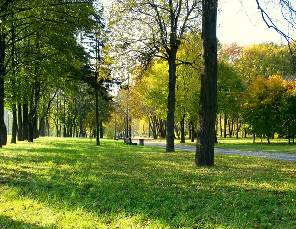 Piękna złota jesień w parku — Zdjęcie stockowe