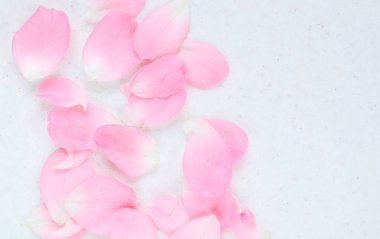 Pembe gül yaprakları. Arka plan tebrik kartları ve invi için mükemmel