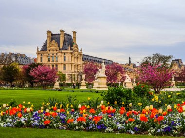 Muhteşem bahar Tuileries Bahçesi ve Louvre Sarayı manzarası 
