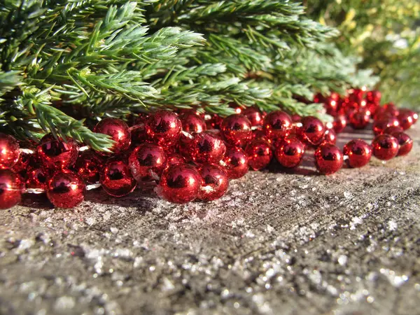 Red beads and conifer branches on a background of rustic wood wi — Stock Photo, Image