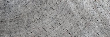 Bir ağaç gövdesinin enine kesitinden. Çatlaklarla yıpranmış eski bir kütüğün halkalarındaki soyut doku.