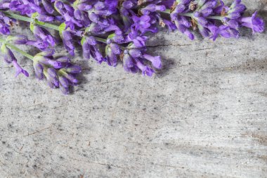 Yaşlı bir kütüğün gri arka planında lavanta çiçekleri