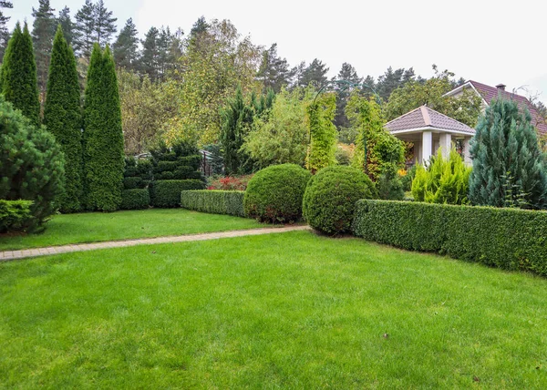 明るい緑の芝生 カラフルな低木 装飾的な常緑植物と秋の形のボックスウッド Buxus Sempervirens を持つ庭の造園 園芸の概念 — ストック写真
