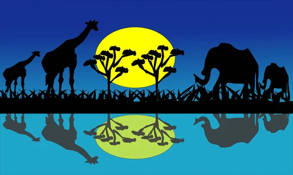 Zürafa Afrika Fil Resimleri Vektör — Stok Vektör