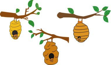 Nest or vespiary of wild bees isolated on white background. Vector cartoon close-up illustration. - Images vectorielles