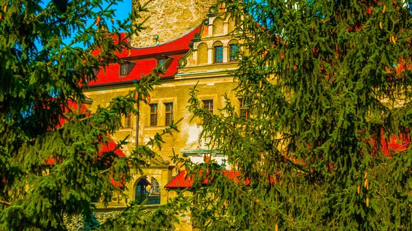 Egy szép lövés egy régi vár Lengyelországban//2018 — Stock Fotó