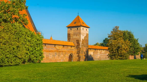 Château en terre cuite 2019, Dans la cour, avec un ciel bleu, herbe verte — Photo