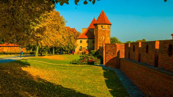 Tájkép fákkal-2019.. nateur Lengyelország — Stock Fotó