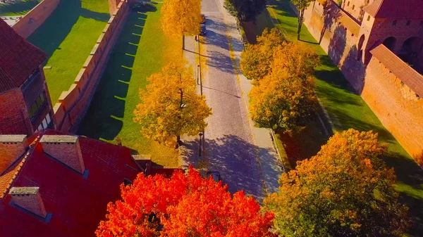 Őszi levelek háttér, Horizon fanézet az őszi nézet — Stock Fotó