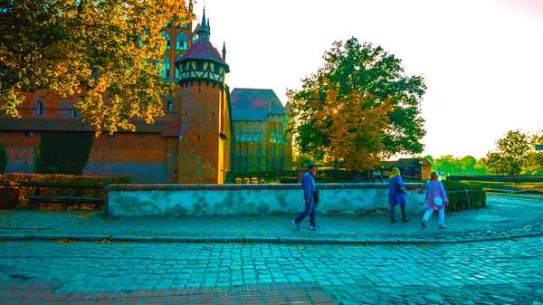 Ulica w starym mieście: piękna jesień w ogrodzie-Północna Polska-z tunelem w środku gór-z korytarzem w centrum parku-styczeń 2019 — Zdjęcie stockowe