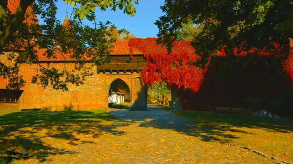 Egy szép lövés egy háztáji Lengyelországban — Stock Fotó