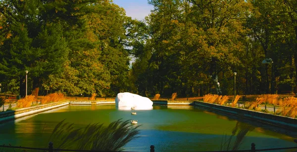 Ormanın ortasında bir su havuzu çok güzel bir görünüm 2019