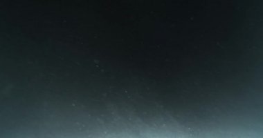 4k su altında ağır çekimde parçacıklar aydınlatılmış. Okyanus kat deniz karı. Parçacıklar, ışık ışınları. Gerçek sualtı kar toz. Plankton yüzer. Deniz arka plan Vfx öğesi.