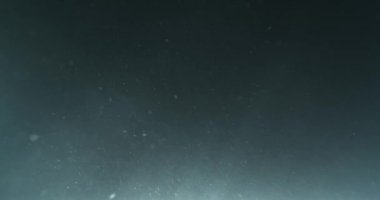 4k su altında ağır çekimde parçacıklar aydınlatılmış. Okyanus kat deniz karı. Parçacıklar, ışık ışınları. Gerçek sualtı kar toz. Plankton yüzer. Deniz arka plan Vfx öğesi.