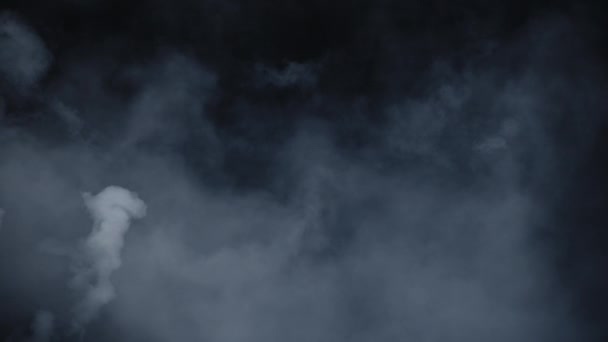 可怕的魔法万圣节 大气烟雾 Vfx 阴霾背景 抽象烟云 在黑色背景下缓慢吸烟 白烟在黑色背景下慢慢地漂浮在太空中 雾效应 雾效果 — 图库视频影像