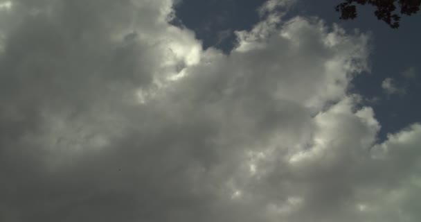 劇的な圧延雲はスカイラインとクラウドを構築します 暗いの劇的な雨の雲を渡します ホワイトはふくらんでいる ふわふわ 積雲の雲が青い空を横切って太陽を遮蔽曇り夏の日の間に圧延します 明るく輝く太陽からの Cloudscape — ストック動画