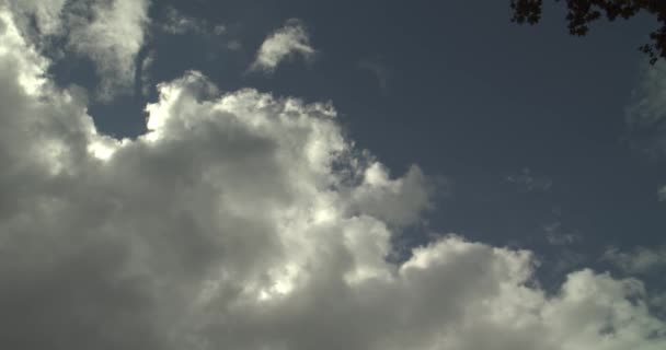 劇的な圧延雲はスカイラインとクラウドを構築します 暗いの劇的な雨の雲を渡します ホワイトはふくらんでいる ふわふわ 積雲の雲が青い空を横切って太陽を遮蔽曇り夏の日の間に圧延します 明るく輝く太陽からの Cloudscape — ストック動画