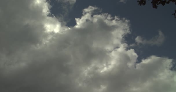 劇的な圧延雲はスカイラインとクラウドを構築します 暗いの劇的な雨の雲を渡します ホワイトはふくらんでいる ふわふわ 積雲の雲が青い空を横切って太陽を遮蔽曇り夏の日の間に圧延します 明るく輝く太陽からの Cloudscape — ストック動画
