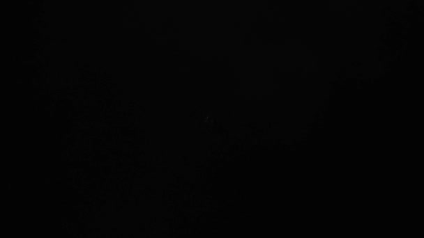 Фронтальний Дуловий Спалах Пострілу Чорній Пістолетній Камері Повільний Вогонь Звичайна — стокове відео