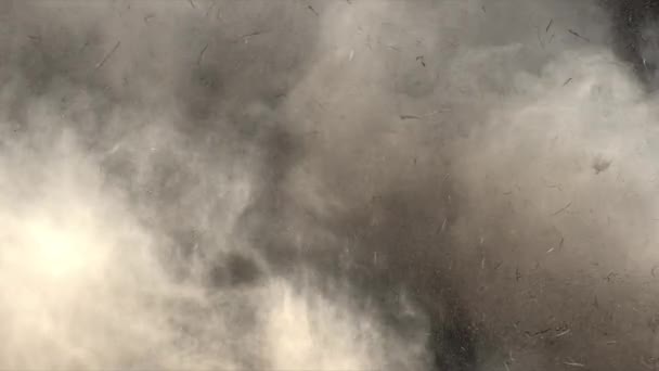 4Kダストと干し草の爆発破片雲がスローモーションで下降 — ストック動画