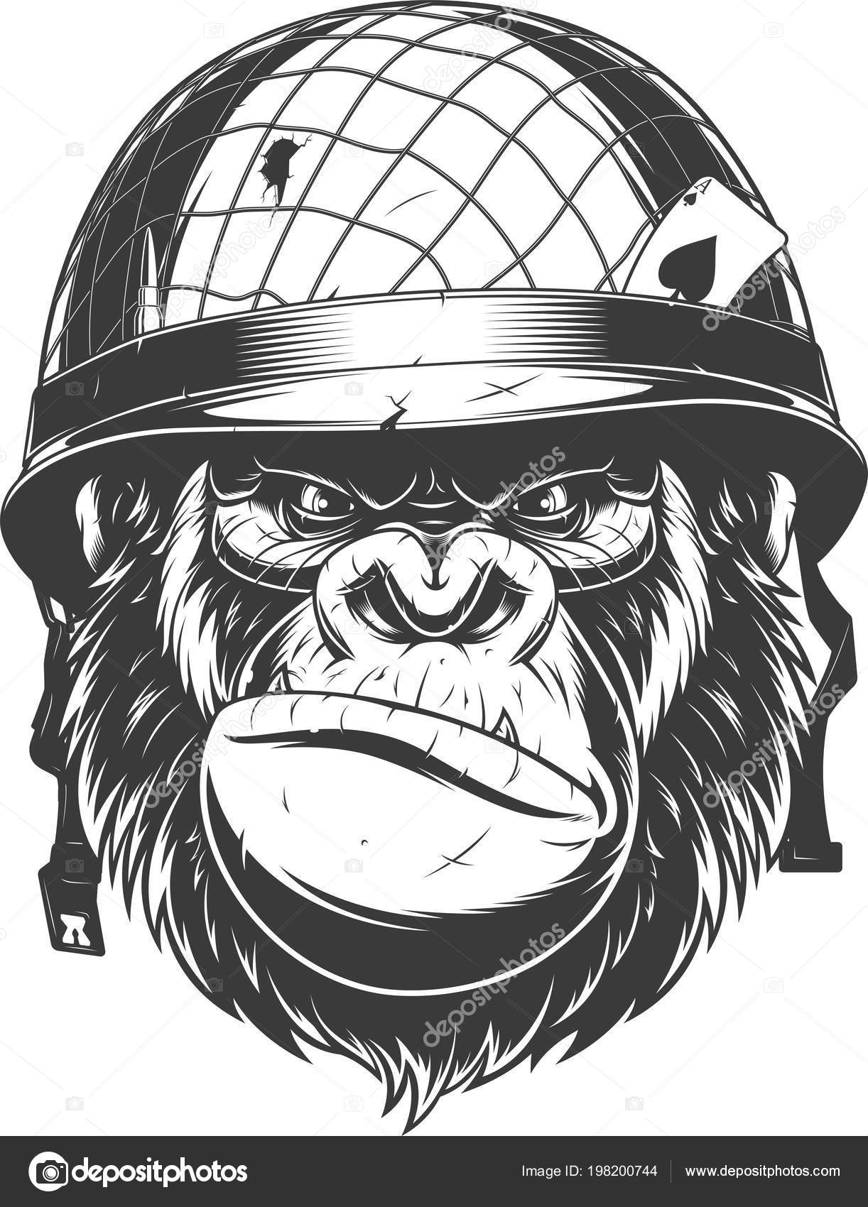 Vettoriale stockGorilla in casco militare di ©Andrey_Makurin #198200744, image size:1222x1700