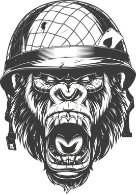 Vahşi goril kafası.