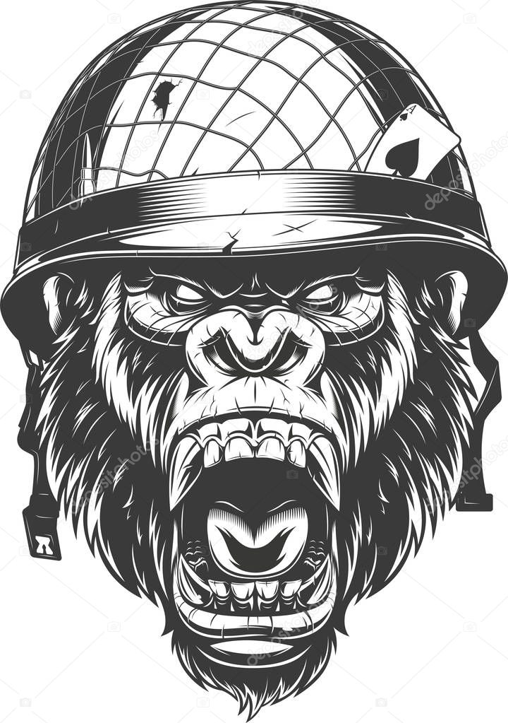 Vector illustration, ferocious gorilla head in a soldier's helmet, monkey soldier, on white background