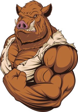 Güçlü yırtıcı boar