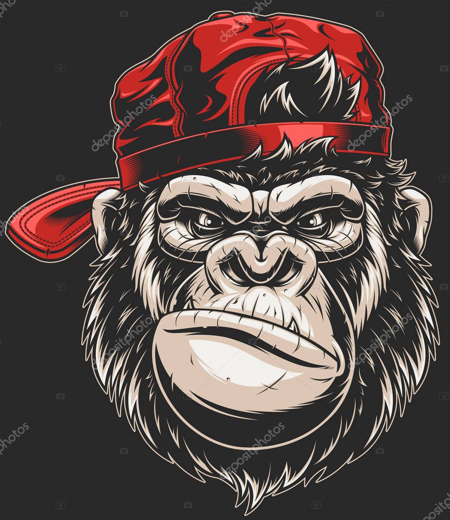 Vector illustration, severe gorilla in a baseball cap, head isolated, on a white background