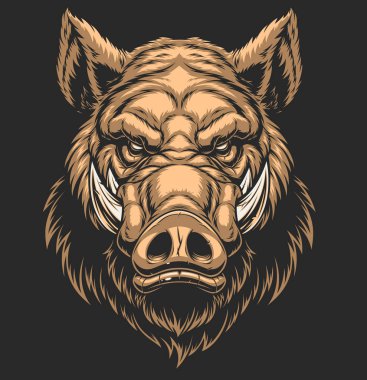 Baş yırtıcı boar