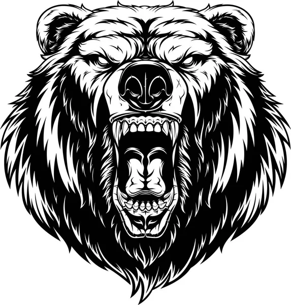 Head of a ferocious bear Stock Vector