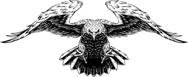 Vliegende grote adelaar — Stockvector