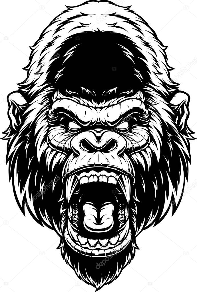Vector illustration, ferocious gorilla's head screaming, black contour on white background.