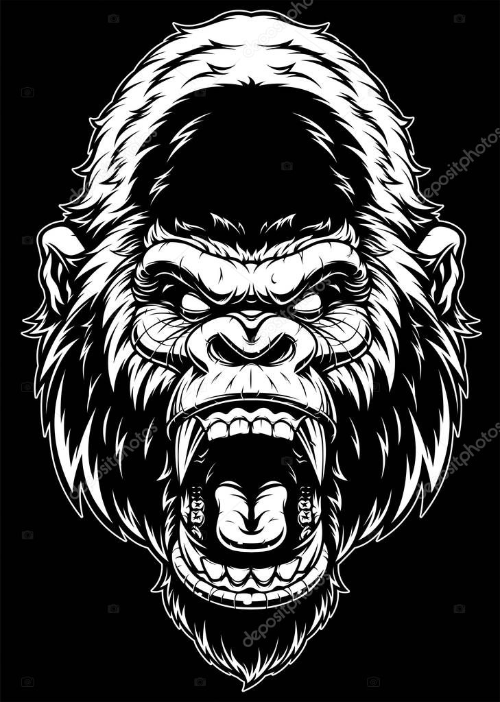 Vector illustration, ferocious gorilla head, on a black background.