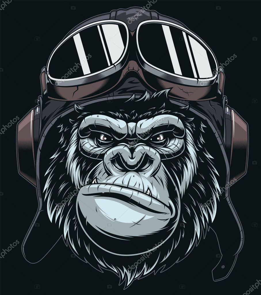 Vector illustration, the head of a gorilla wears a military pilot's helmet with glasses, comics on a black background.