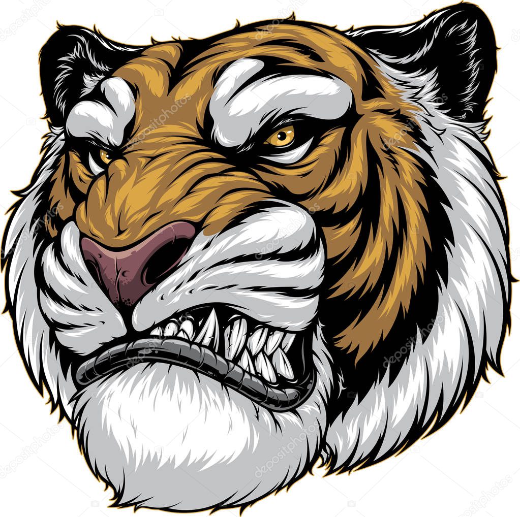 Ferocious tiger roars