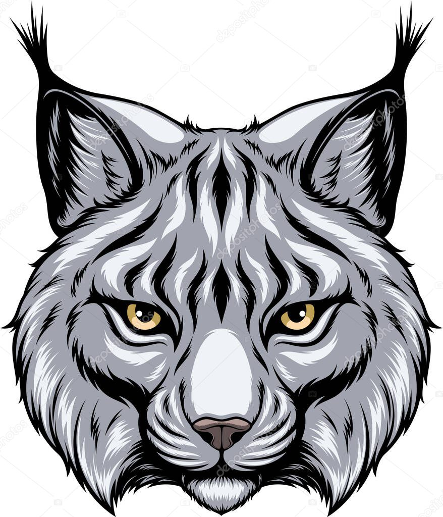 Vector image, the head of a lynx looks forward