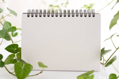 Telli defter kitap masanın üstüne