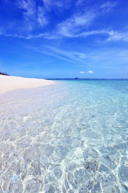 Okinawa 'da güzel bir plajın resmi.