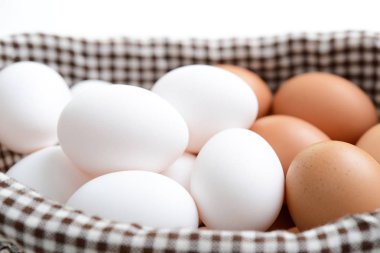 Çiğ tavuk yumurtası Close-up