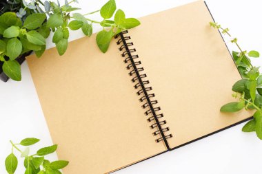 Telli defter kitap masanın üstüne