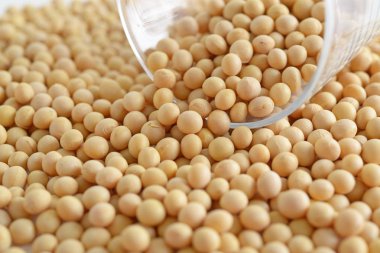 Bir cam bardak ile kurutulmuş soya fasulyesi