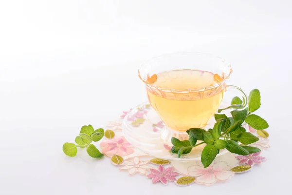 Cup Herbal Tea Dining Table — Stock Photo, Image