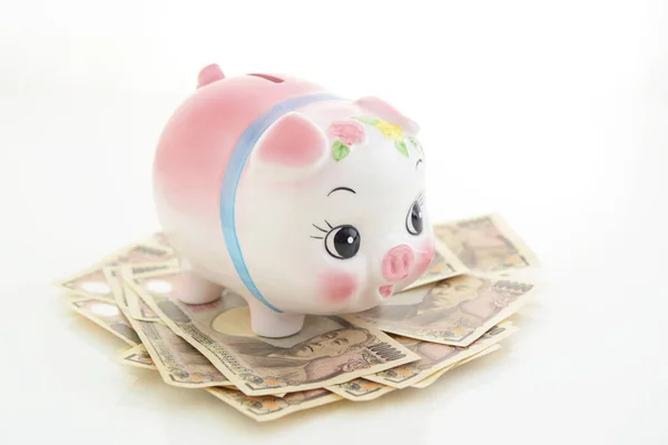 Piggy Banco Com Dinheiro Isolado Fundo Branco — Fotografia de Stock