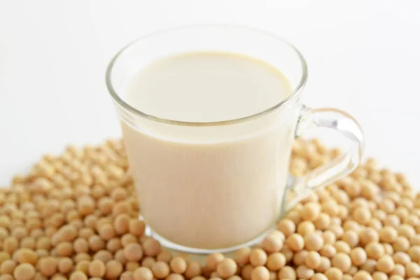 Dried Soy Beans Soy Milk — Stock Photo, Image