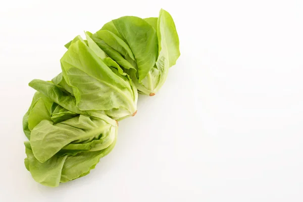 Frischer Boston Salat Isoliert Auf Weißem Hintergrund — Stockfoto