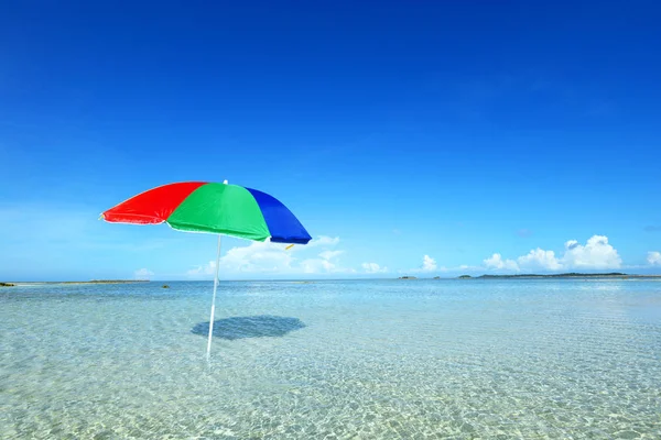 Okinawa 'da güzel bir plajın resmi.