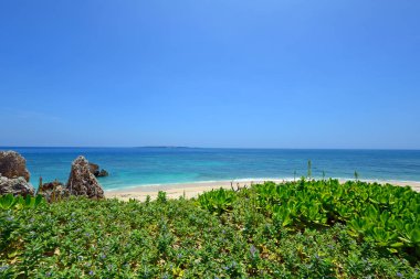 Okinawa güzel bir plaj